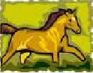 paddockpages001004.jpg